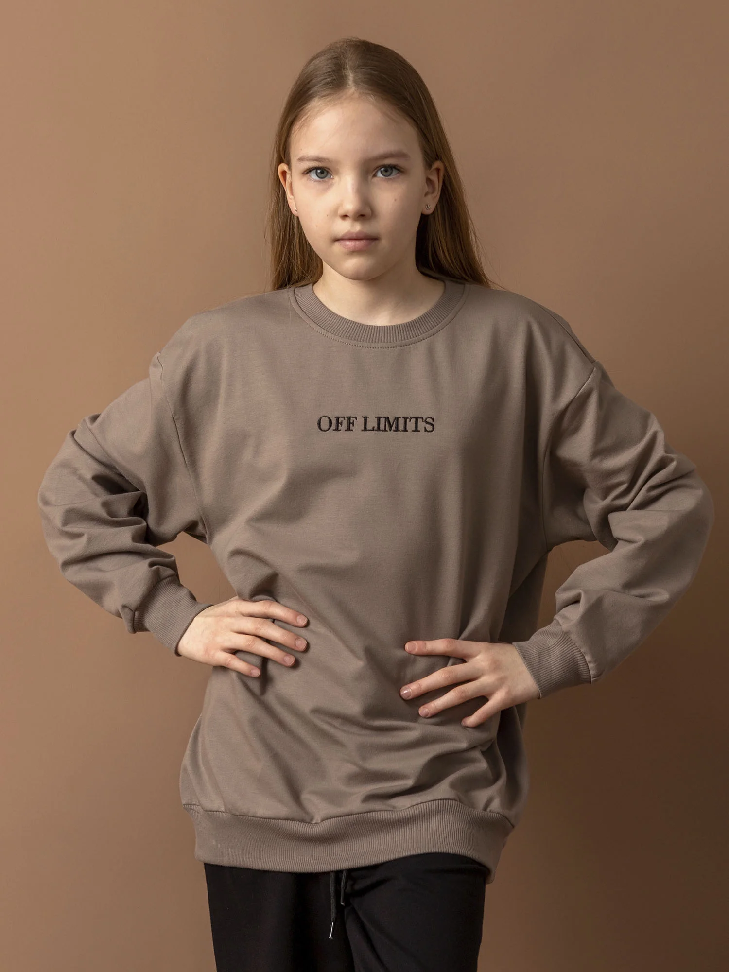 Свитшот (пуловер) унисекс (021_ЛП26)