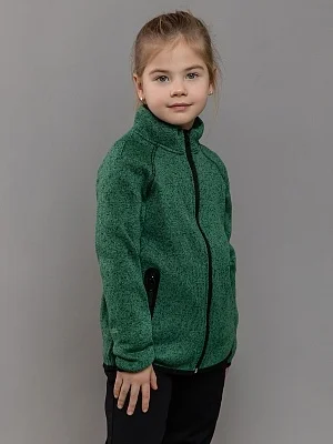 Флисовая толстовка Николь (484-24з)