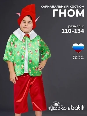 Костюм Гном Вася (2191 к-24)