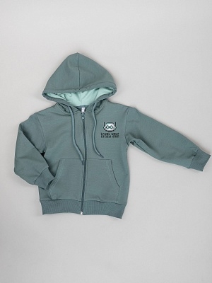 Толстовка на молнии для мальчика (048_ОС25)