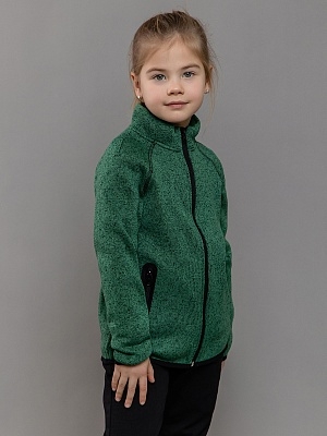 Флисовая толстовка Николь (484-24з)