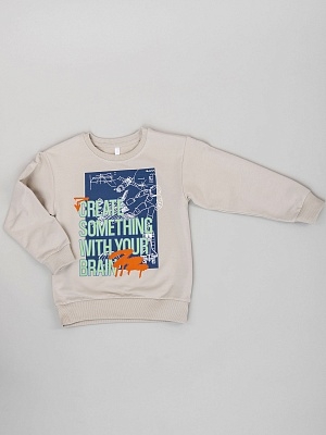 Свитшот пуловер для мальчика (045_ОС25)