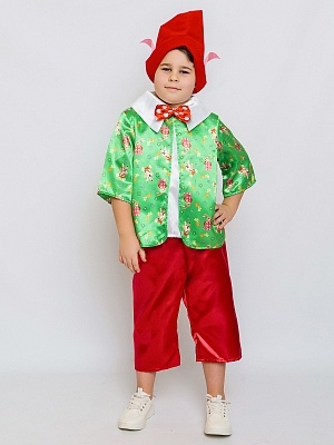 Костюм Гном Вася (2191 к-24)