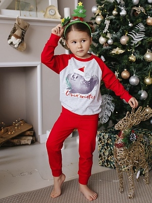 Пижама футболка с длинным рукавом и брюки (0029_НК)